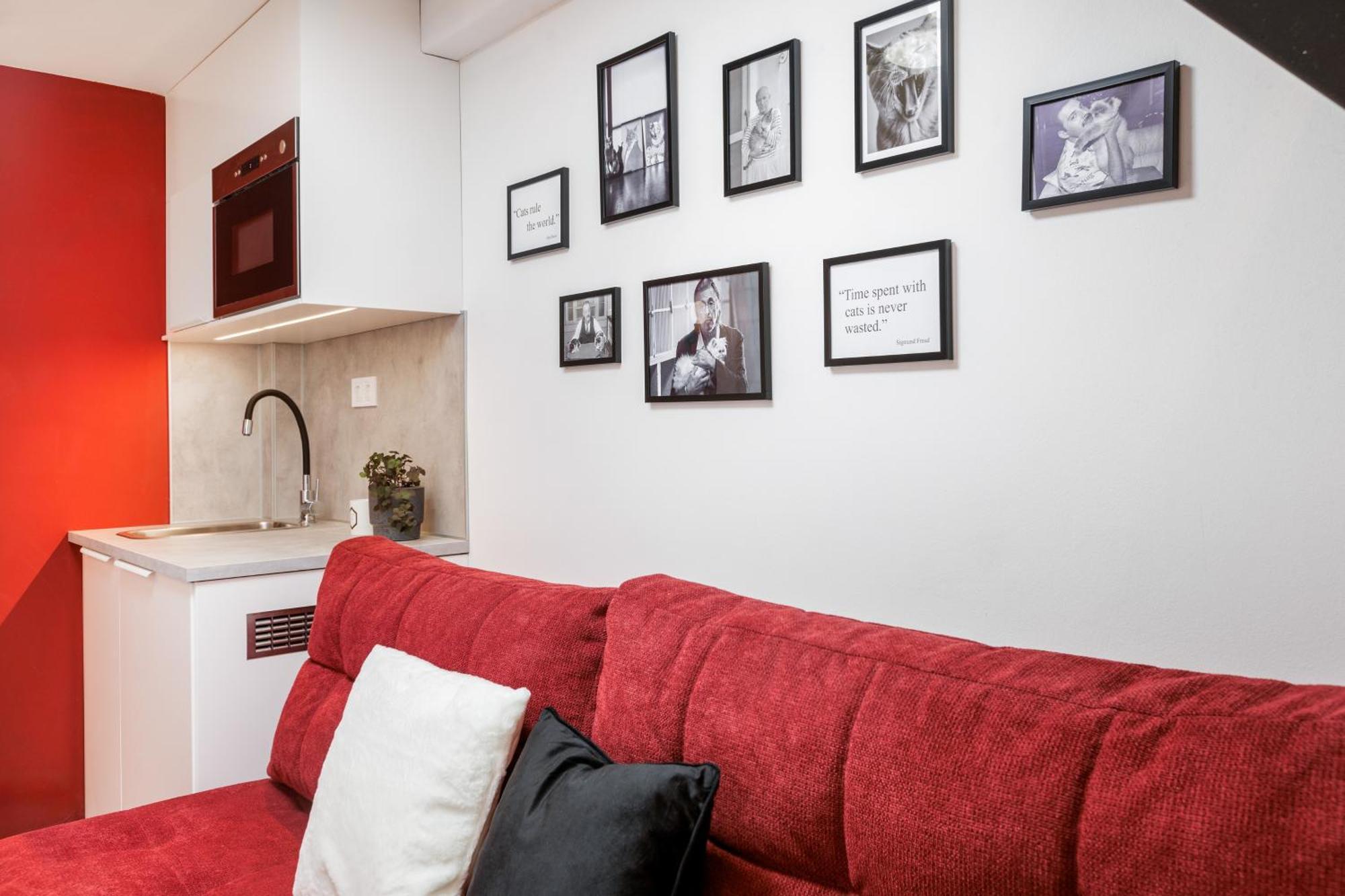 Апартаменты The Urban Chill Spot Harsfa Street Будапешт Экстерьер фото
